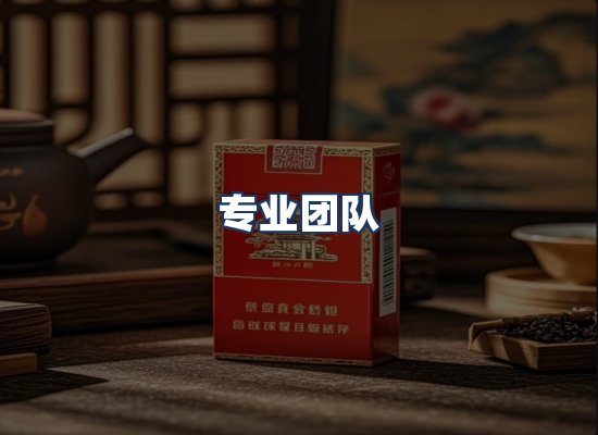 专业团队